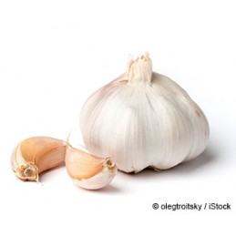 Garlic (සුදු ළුණු)