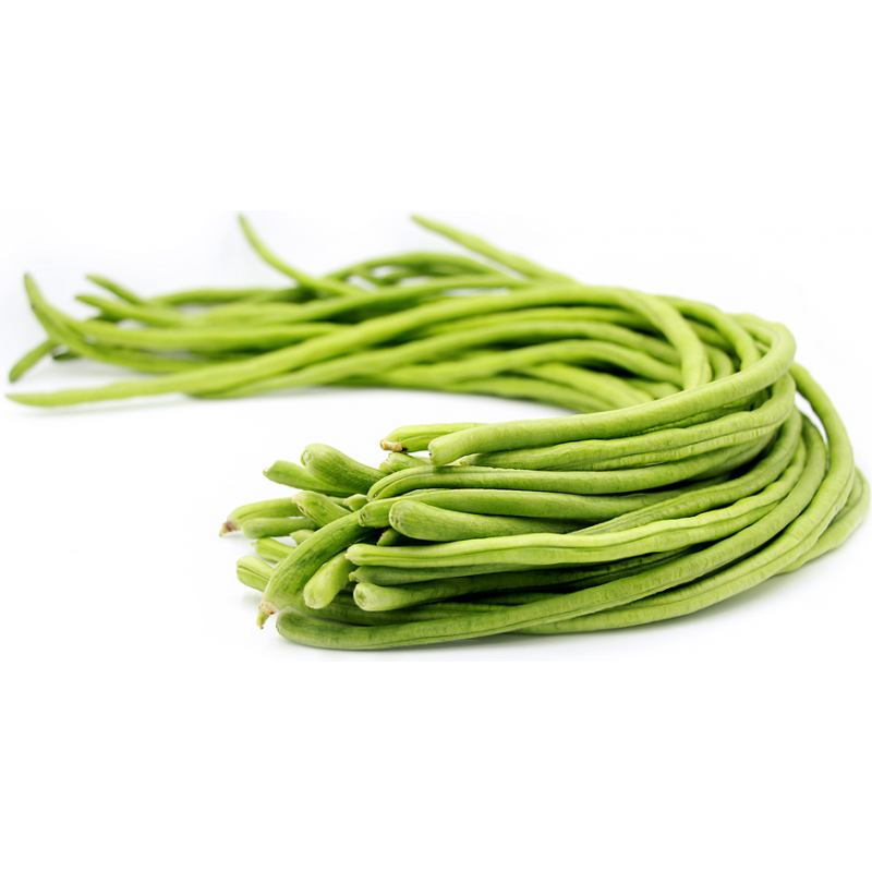 Long Beans インゲン 長