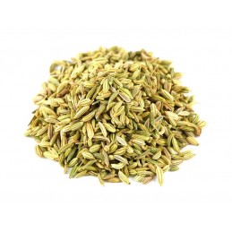 Fennel Seeds (フェンネル)