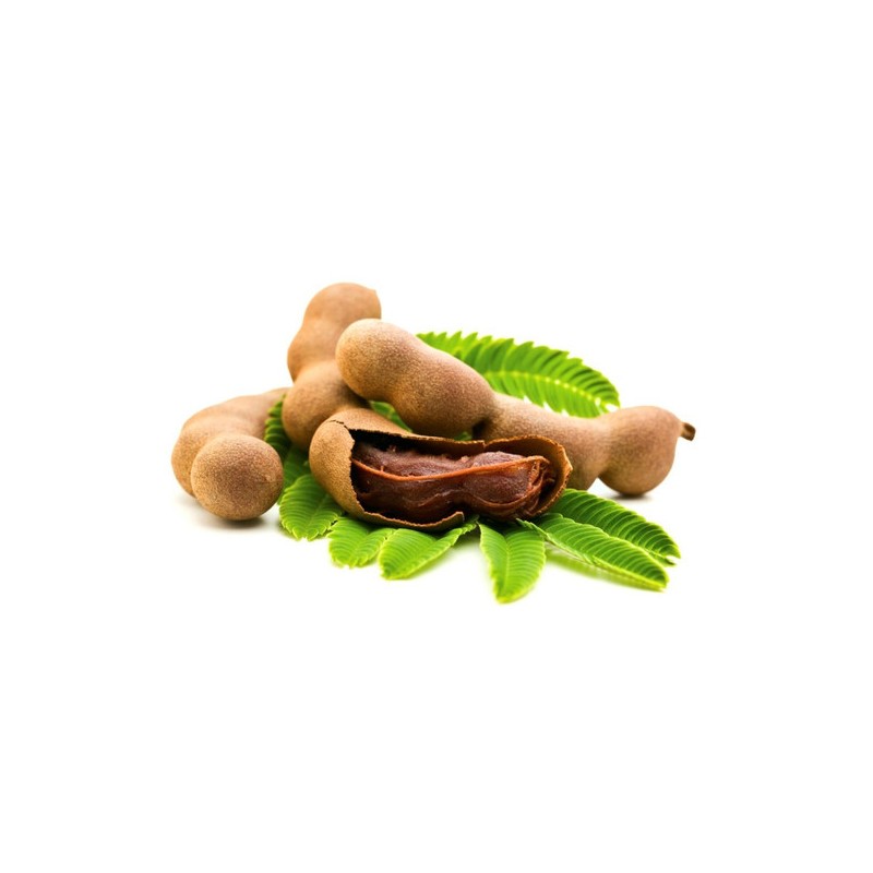 Tamarind (タマリンド)