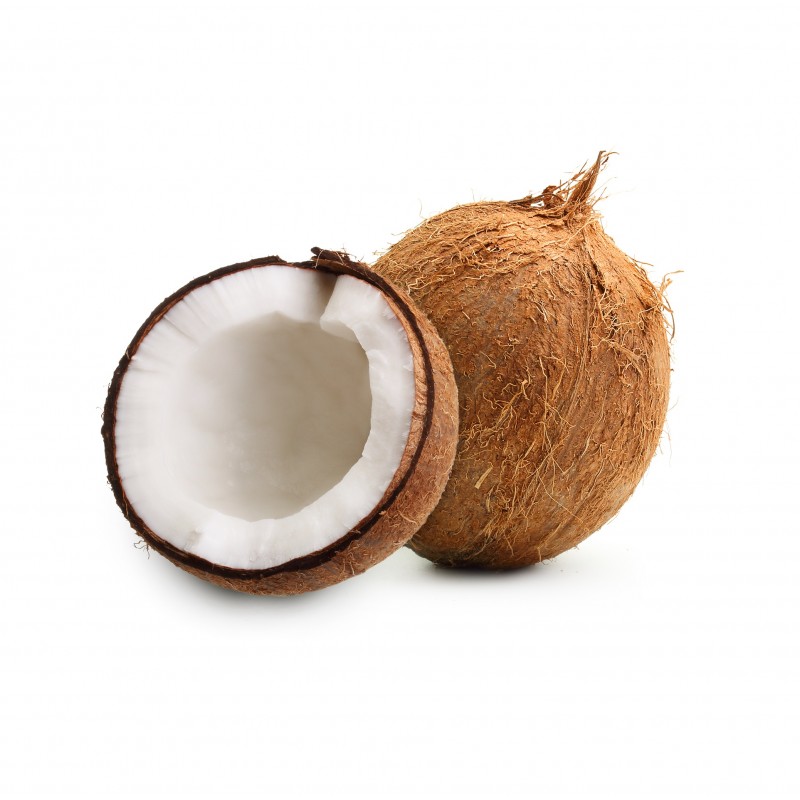 Coconut ココナツ