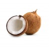 Coconut (ココナツ)