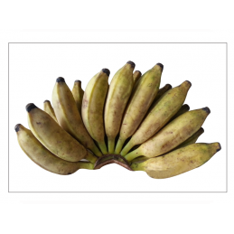 Banana (සිනි කෙසෙල්)