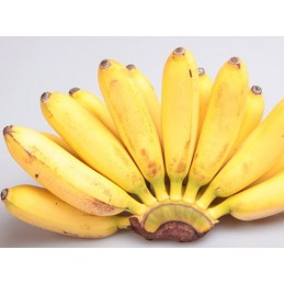 Banana Ambul (ඇඹුල් කෙසෙල්)