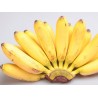 Banana Ambul (バナナ)