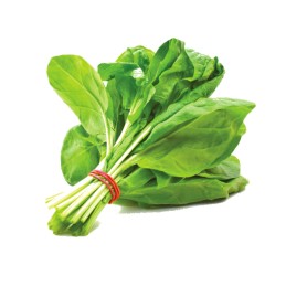 Spinach (නිවිති)