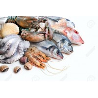 Fish & Sea Foods